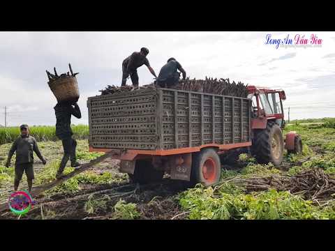 Đang cập nhật